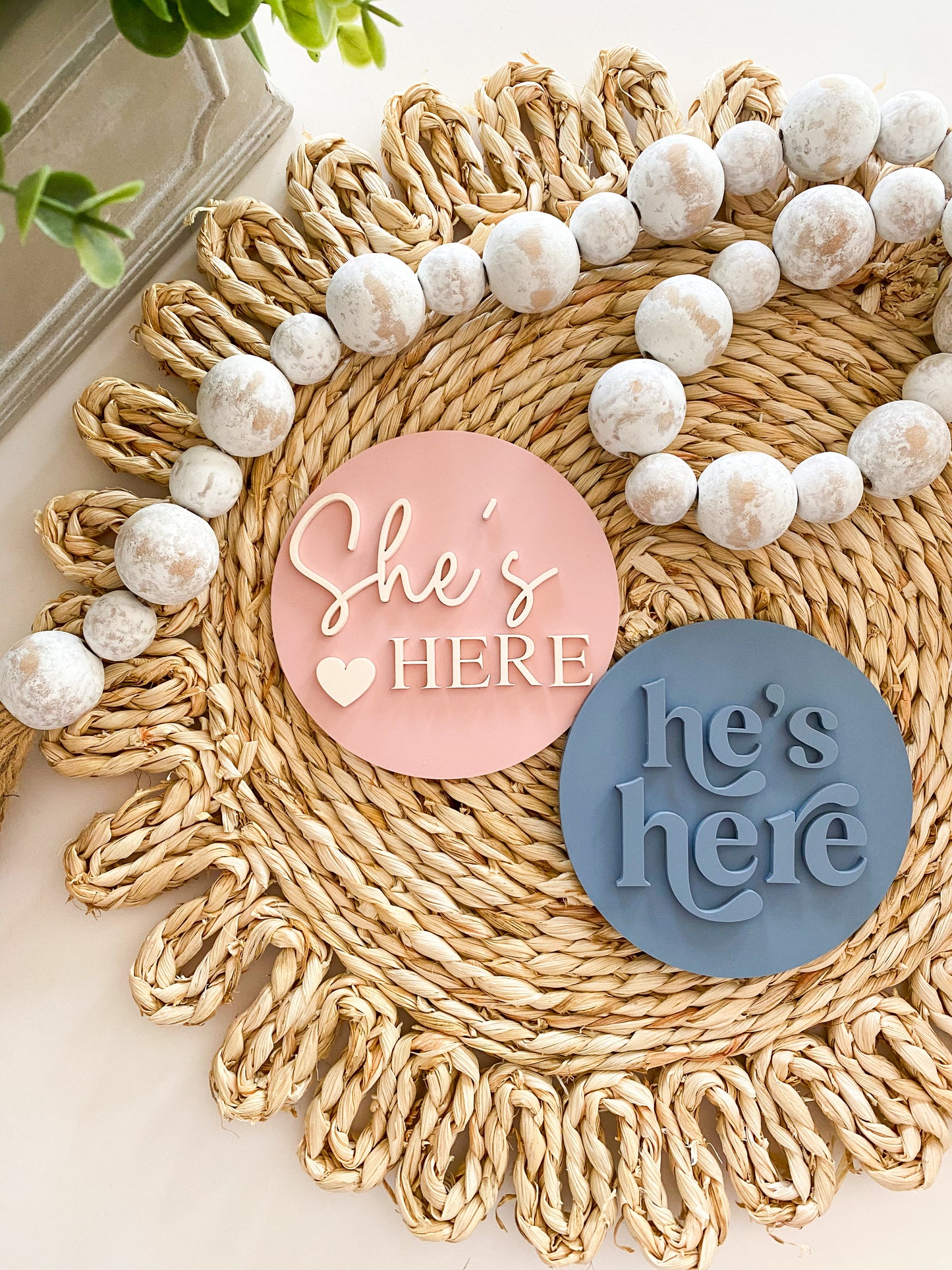 He's Here, She's Here Acrylic Baby Bundle