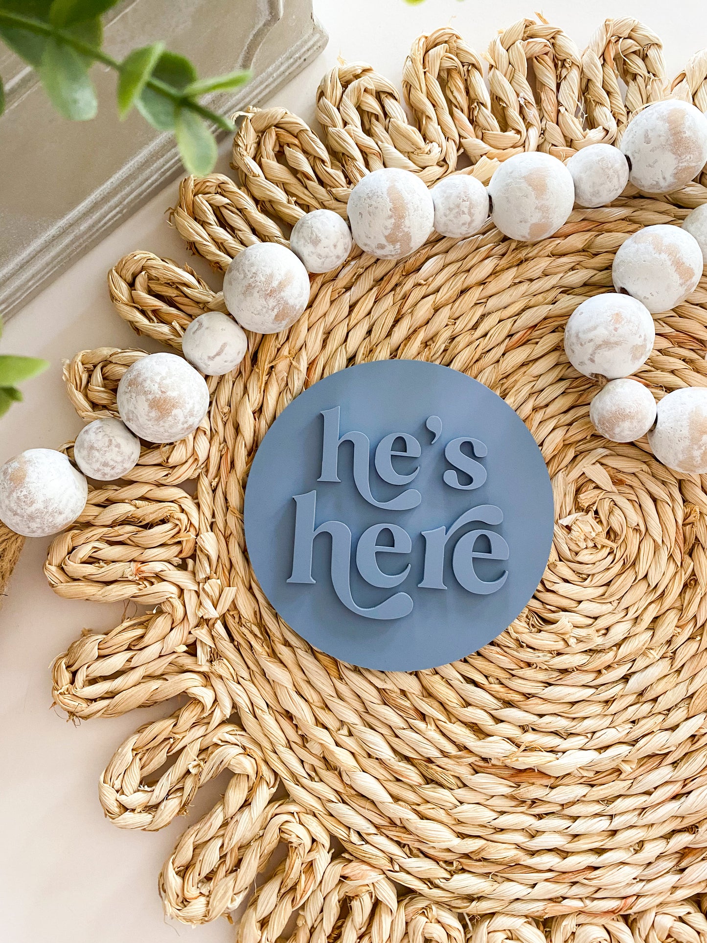 He's Here, She's Here Acrylic Baby Bundle