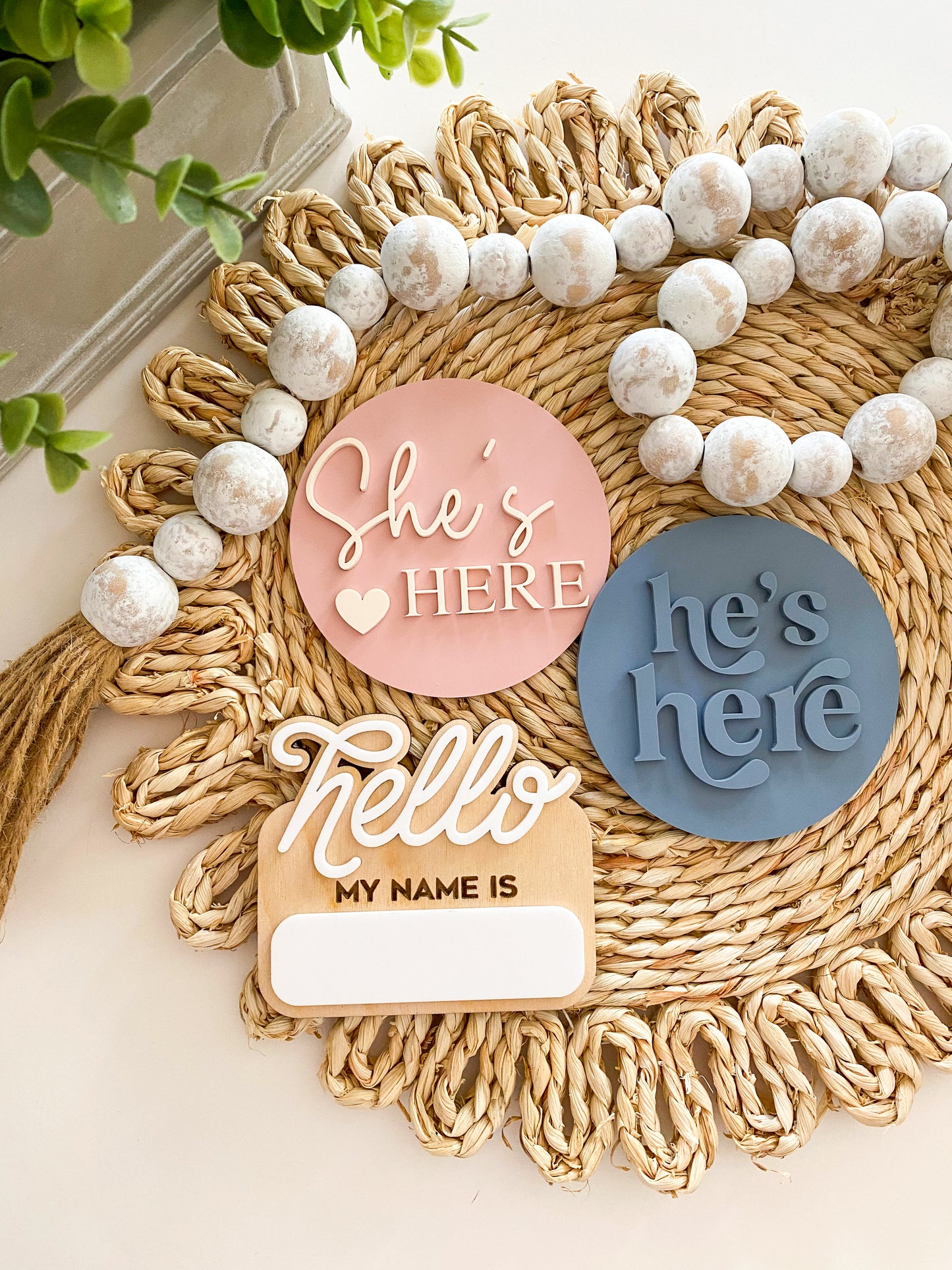 He's Here, She's Here Acrylic Baby Bundle