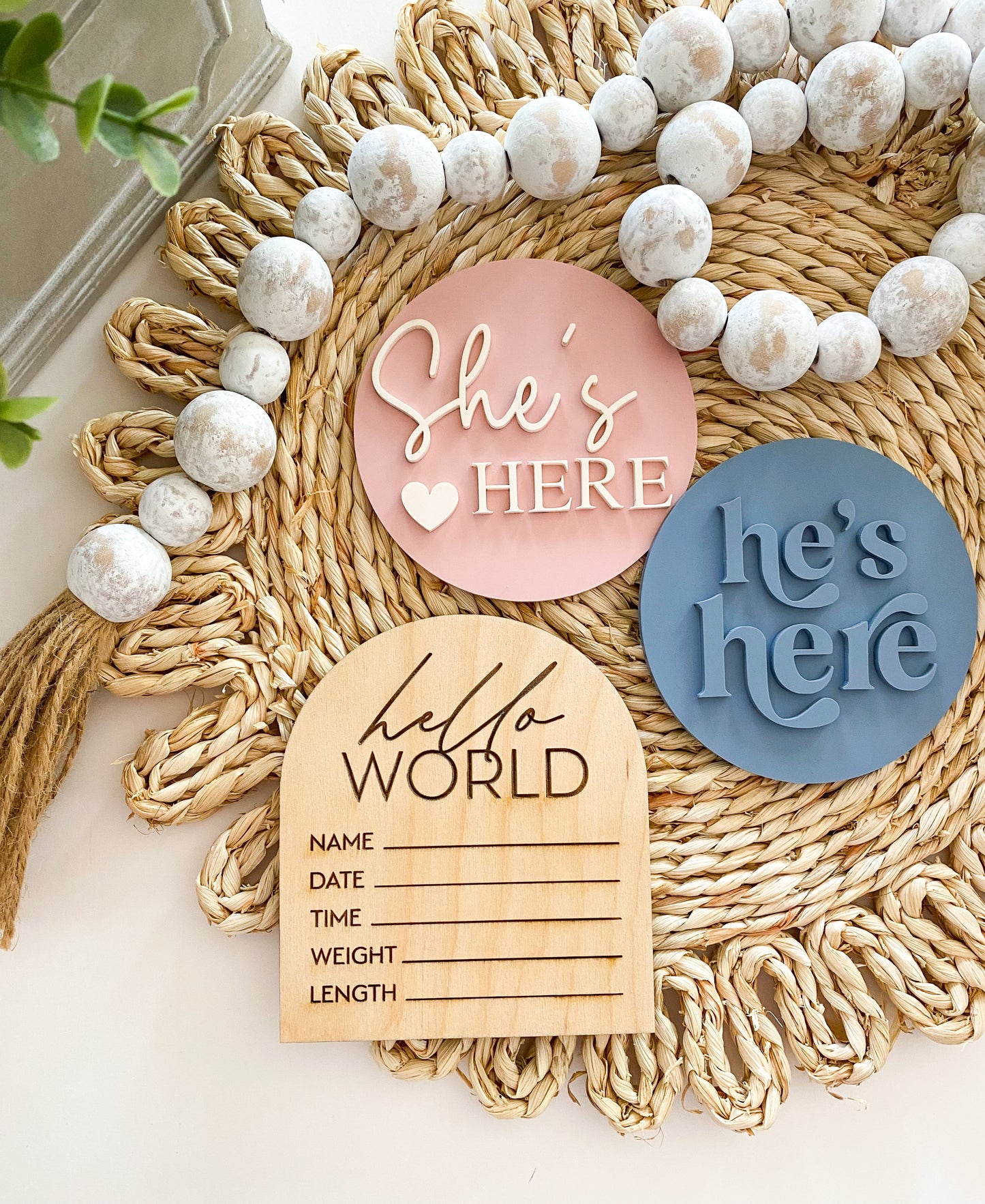 He's Here, She's Here Acrylic Baby Bundle