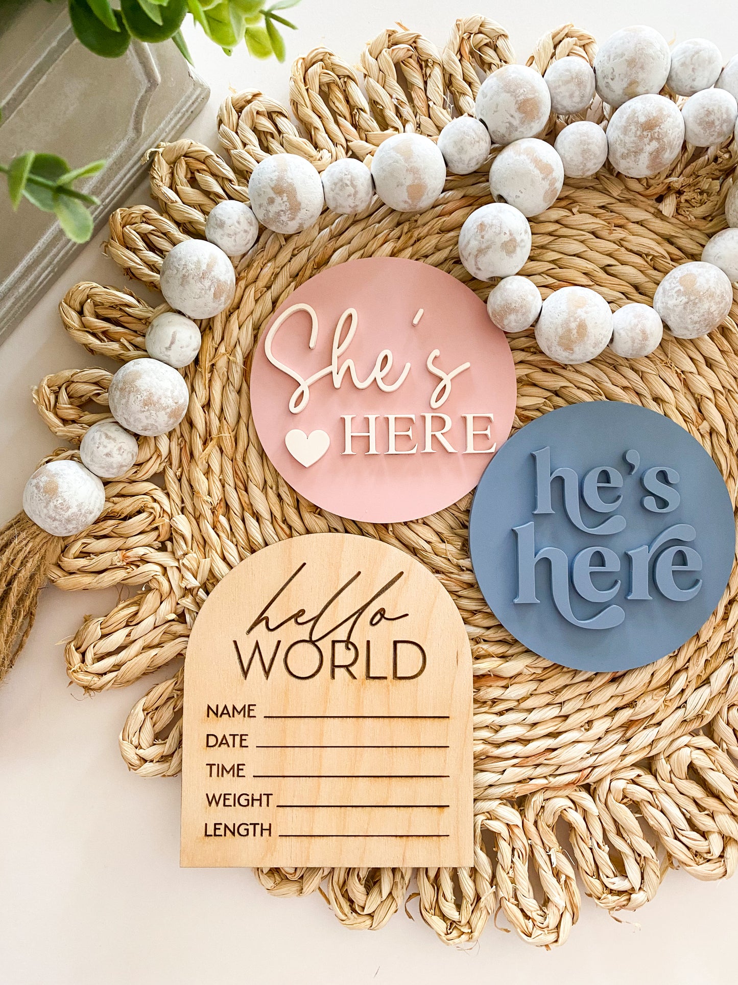 He's Here, She's Here Acrylic Baby Bundle