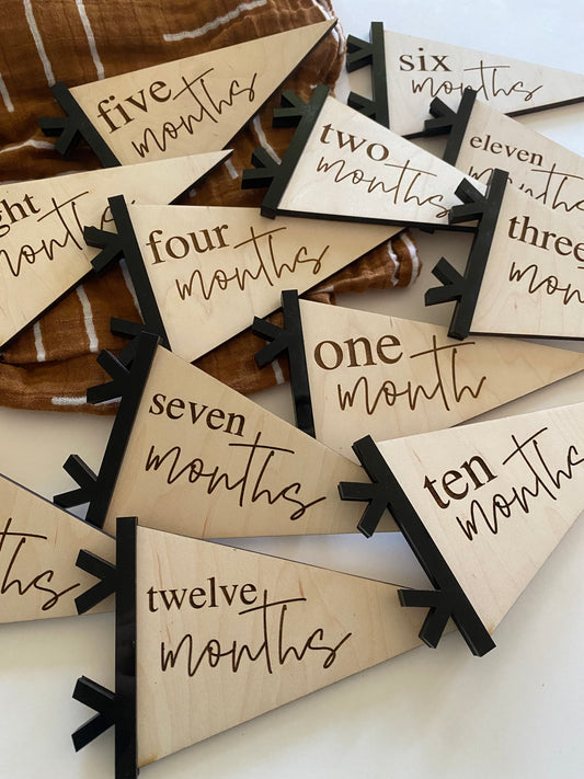 Baby Pennant Flag Monthly Milestone Marker