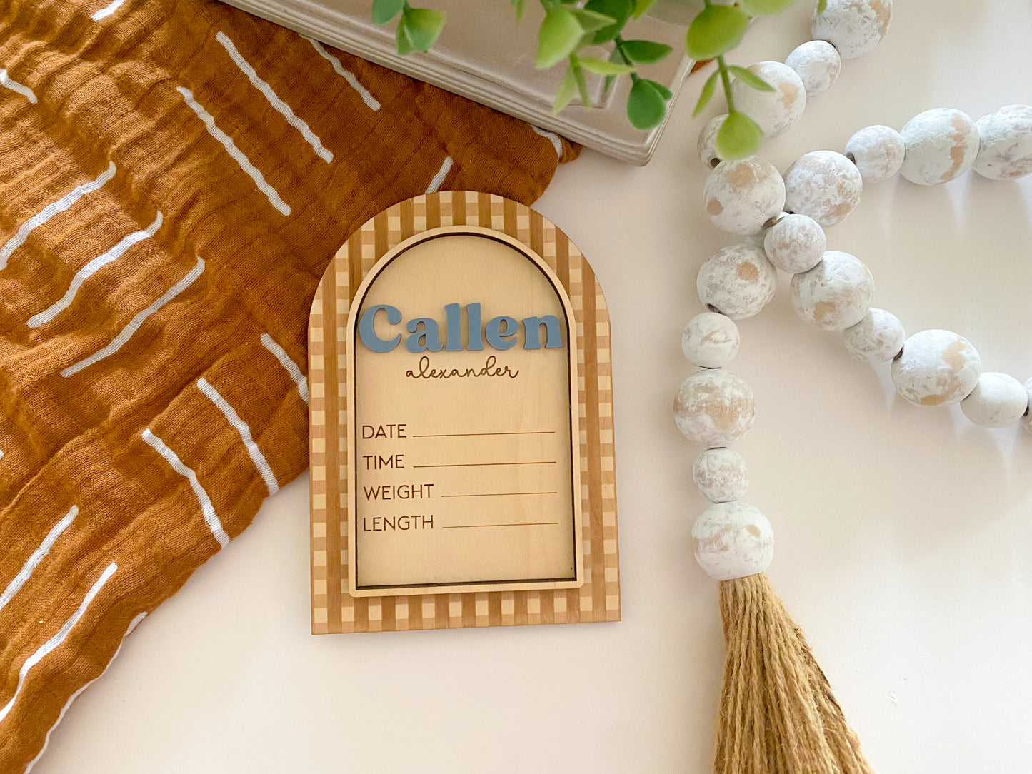 Gingham Baby Monthly Milestone + Baby Announcement