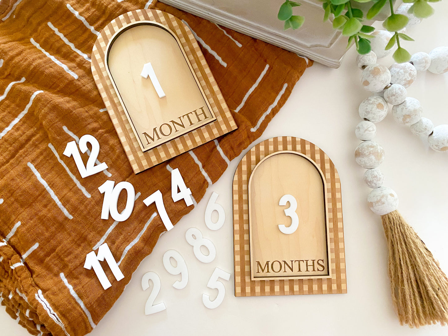 Gingham Baby Monthly Milestone + Baby Announcement